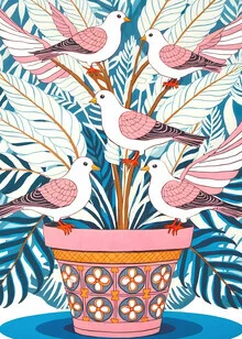 Illustration von Uma Gokhale: Fünf Tauben umgeben von blühenden Pflanzen