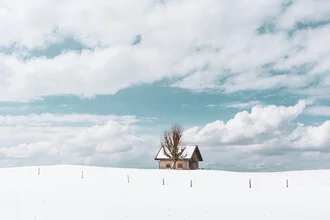 Winter landscape with a solitary hut and tree in a calm, snowy setting