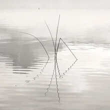 Gentle reflections on water, exuding calmness and simplicity