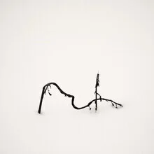 Photo art by Lena Weisbek: artistic calligraphy in snow with a poetic touch