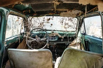 Overgrown car in nature, conveying a calm, nostalgic mood.