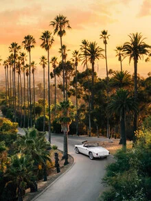 Photo by Gal Pittel: sunset over a road framed by palm trees