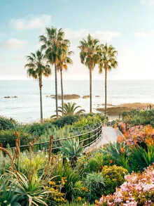 Photo art by Gal Pittel: flowers and palms by the beach in California