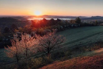 Sunrise over a rural landscape with cherry trees in the Harz foothills.