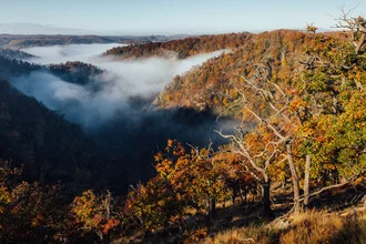 Fotokunst von Maximilian Fischer: sanfte Nebeldecke über dem Bodetal im Herbst