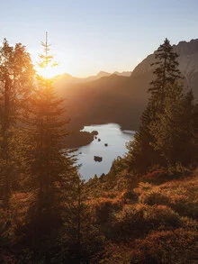 Eibsee in Bavaria: tranquil mountain lake surrounded by gentle alpine landscapes