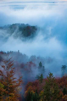 Photo art by Martin Wasilewski: fog over Lake Kochel in autumn mood