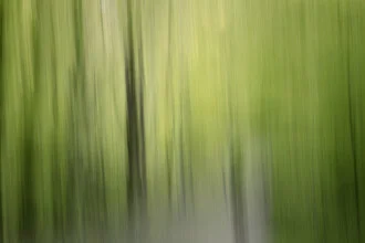Verwischte Waldaufnahme von Nadja Jacke mit sanften Farben und ruhiger Stimmung.