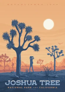 Wall art by François Beutier: Illustration of Joshua Tree National Park in vintage style