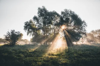 Photo art by Johannes Hulsch: peaceful sunrise over meadows in Wittenberg