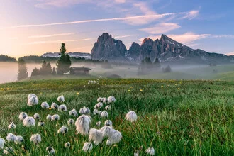 Achim Thomae, Sonnenaufgang auf der Seiser Alm in Südtirol - Italien, Europa