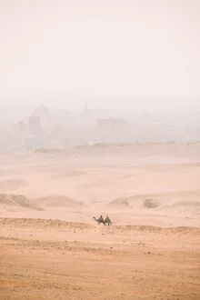 Photo art by Lotte Wildiers: Camel in desert sand with soft colors and tranquil mood