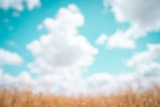 Photo art by Tal Paz-Fridman: gentle meadow under a clear sky