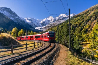 Achim Thomae, Berninabahn Schweiz - Schweiz, Europa