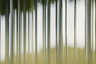 Fotokunst von Nadja Jacke: verwischte Baumstämme im Laubwald