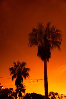 Photo art by Anke Dörschlen: palm trees under soft evening light in Ibiza