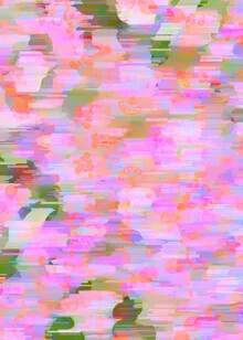 Illustration by Uma Gokhale: gentle pink haze over a meadow