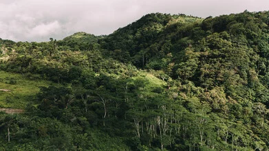 Photo art: Sun rays filtering through the jungle in Camiguin, Philippines