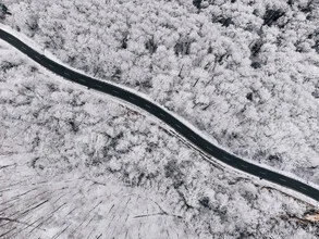 Fotokunst von Kerstin Maier: verschneiter Waldweg in kalter Winterstimmung