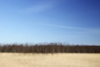 Stimmungsvolles Fotokunstwerk von Manuela Deigert: Moorlandschaft im Ewigen Meer Stimmungsvolles Fotokunstwerk von Manuela Deigert: Moorlandschaft im Ewigen Meer