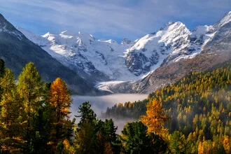 Herbstliche Landschaft am Morteratschgletscher mit Nebel und schneebedeckten Bergen.