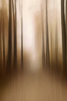 Photo art: blurred autumn forest with soft colors and motion