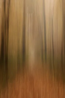 Blurred photo of an autumn forest with soft colors and motion blur
