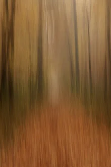 Photo art by Nadja Jacke: blurred autumn forest with soft colors