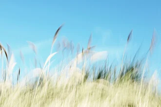 Photo art by Manuela Deigert: gentle sand dunes by the sea with wind and light