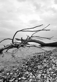 Fotokunst von Michaela Ertelt: ruhige Szene nach einem Sturm mit sanften Wolken.
