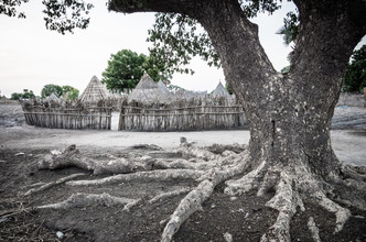 Ulrich Kleiner, Dorf und Baum (Sudan, Afrika)