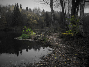 Michaela Ertelt, Am See (Deutschland, Europa)