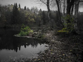 Wall art by Michaela Ertelt: serene view of a lake surrounded by woods