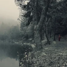 Photo art by Michaela Ertelt: fog over a calm lake in the forest