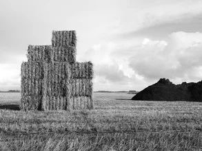 hay - Fineart photography by Kay Block