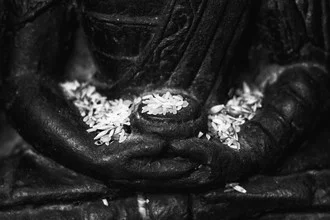 Photo art by Jagdev Singh: serene Buddha in meditation, surrounded by rice.