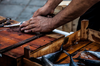 Philipp Langebner, slicing fish (Turkey, Europe)