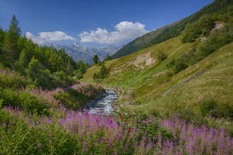 Ralf Martini, Oetztal (Austria, Europe)