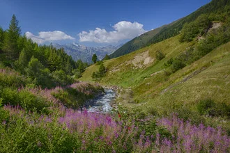 Photo art by Ralf Martini: serene mountain landscape in Ötztal with flowers and water
