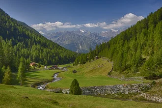 Photo art by Ralf Martini: Spring landscape in Ötztal with blooming grass and gentle hills.