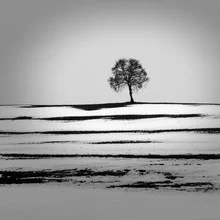 Fotokunst von Ernst Pini: Winterlandschaft mit schneebedeckten Bäumen