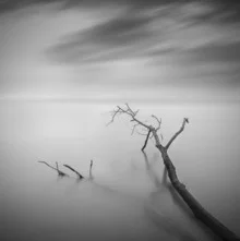 Photo art by Daniel Tjongari: divided landscape with soft tones