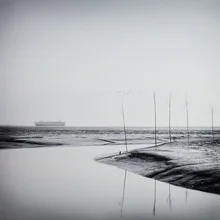 Photo art by Manuela Deigert: a ship in North Sea waters among birches and mudflats