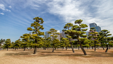 Jörg Faißt, Marunouchi Skyline (Tokyo) (Japan, Asia)