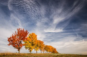 Photo art by Heiko Gerlicher: autumn avenue with colorful maple leaves