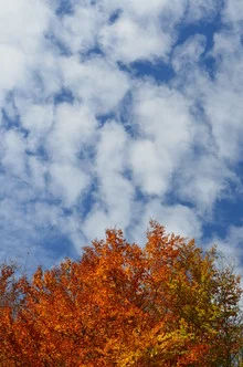 Photo art by Stefan Wolpert: colorful autumn landscape with trees and clouds