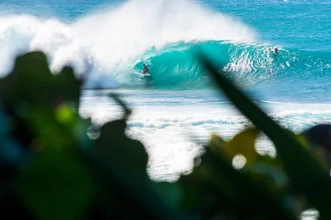 Surfer in the Pipeline on Oahu: vibrant scene with powerful waves