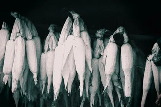 Photo art by Gaurav Dhwaj Khadka: corn cobs hung out to dry