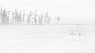Schoo Flemming, conifers in fog and lake (Mongolia, Asia)