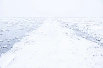 Wall art by Schoo Flemming: frozen road to nowhere in winter light